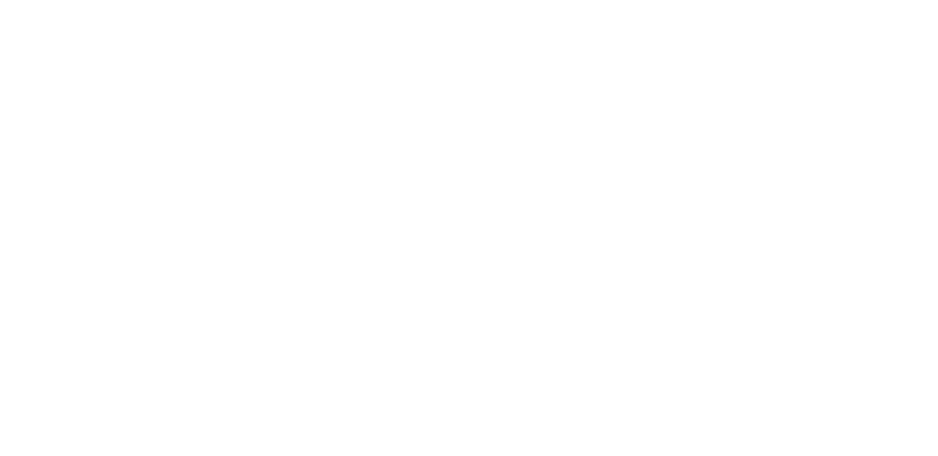 The Vision Series
